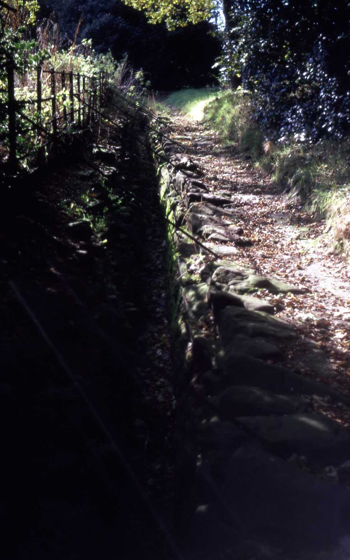 D10 009 Masonry of Leet. Castle Park. Nov 1968.jpg